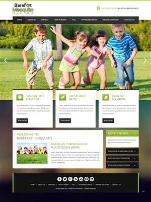 Diseño Web por pb para este proyecto | Diseño: #5469566