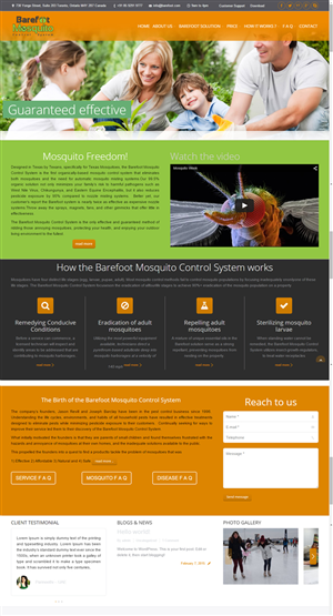 Diseño Web por DesignLab para este proyecto | Diseño: #5492023