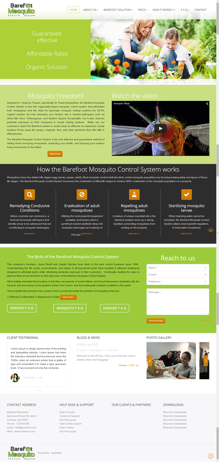 Web Design by DesignLab for this project | Design #5493861