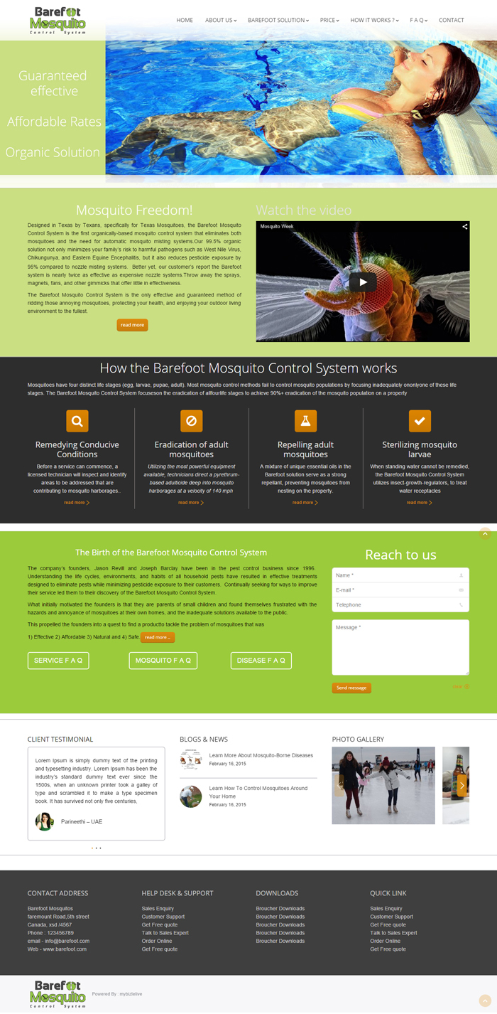 Web Design by DesignLab for this project | Design #5494216