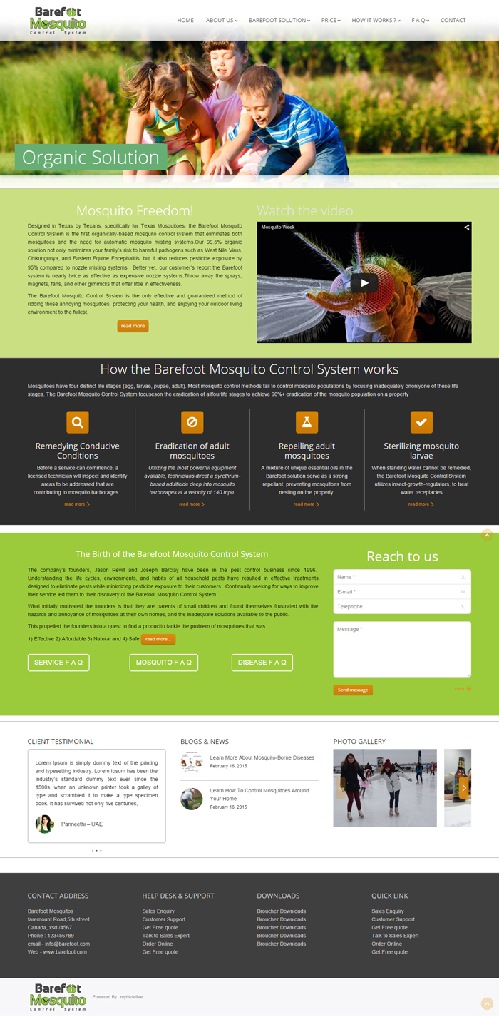 Web Design by DesignLab for this project | Design #5494221