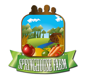 Logo Design by alex fraile for this project | Design: #1555638