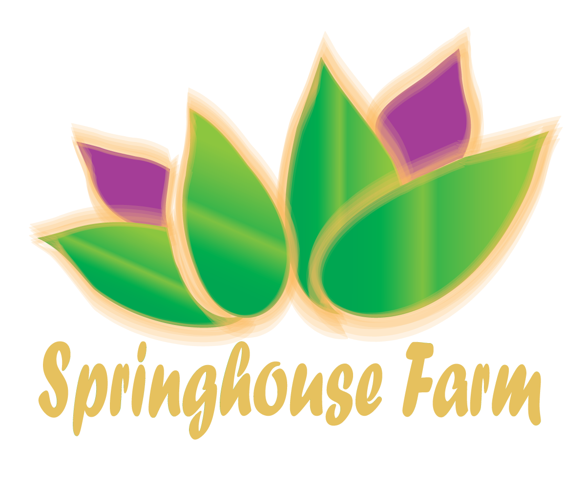 Logo Design by Designer 111122 for this project | Design #1554838