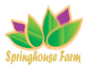 Logo Design by Designer 111122 for this project | Design #1554838