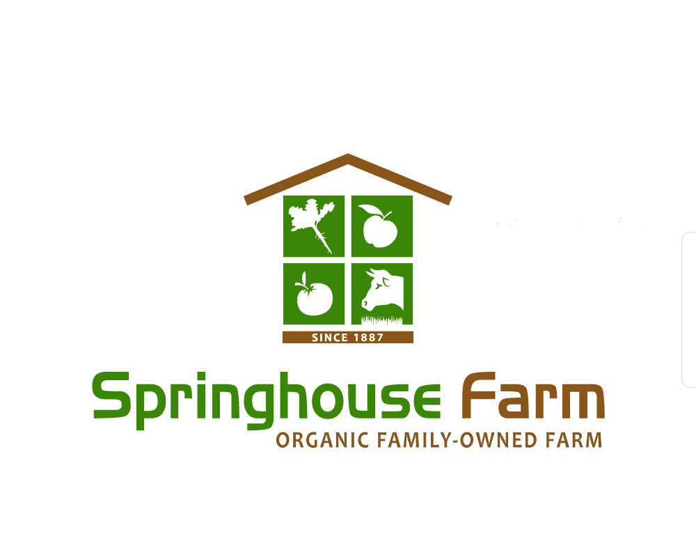 Logo Design by briliana for this project | Design #1523442