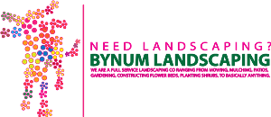 Diseño de Logo por lphopkins para este proyecto | Diseño #5466395