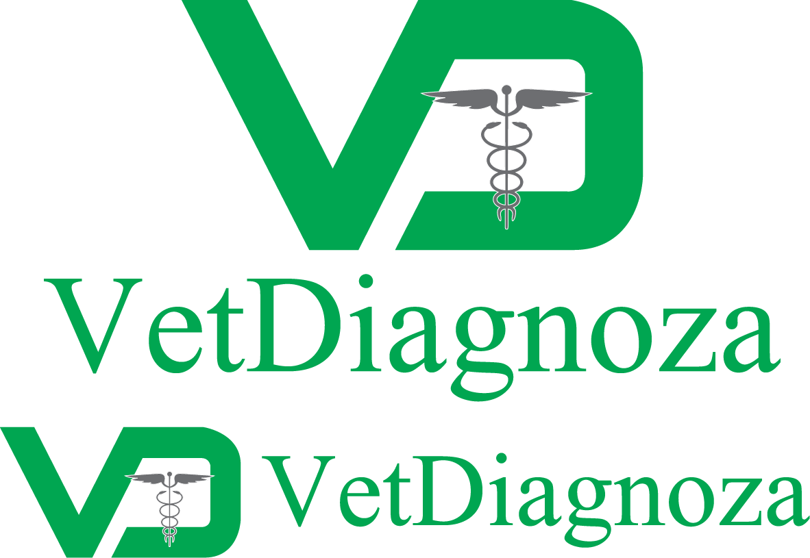 Logo Design by theK for itDesk sp. z o.o. | Design #5474679