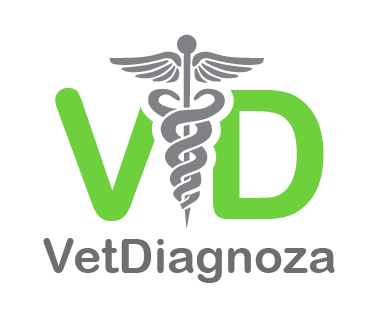 Logo-Design von TSEdesign für itDesk sp. z o.o. | Design #5478471