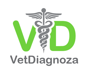 Logo-Design von TSEdesign für itDesk sp. z o.o. | Design: #5478471