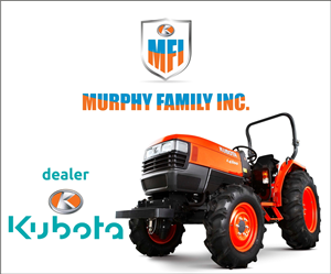 Diseño de Logo por simbol04 para este proyecto | Diseño: #5532098