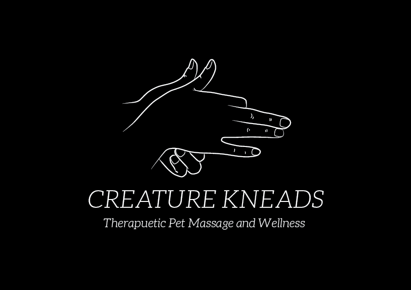 Design de Logo par lazysusandesigns pour ce projet | Design #5486273