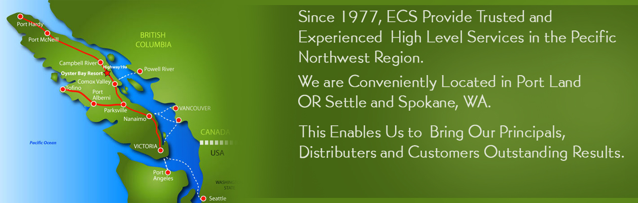 Banner Ad Design by ZPlus Solution for this project | Design #5526320