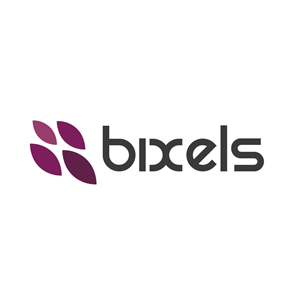 Logo Design by Design Possibilities for bixels | Design: #1517662