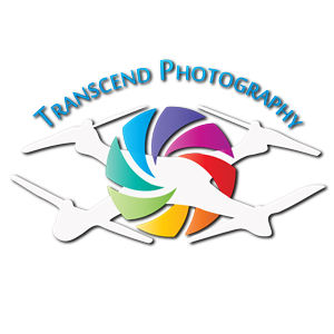 Logo Design by wynchance for this project | Design #5499530