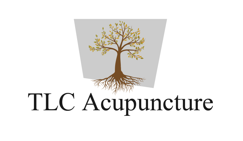 Logo Design by gabrisilva89 for this project | Design #5599510