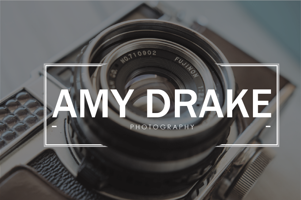 Logo Design by sgummeson for this project | Design #5468863