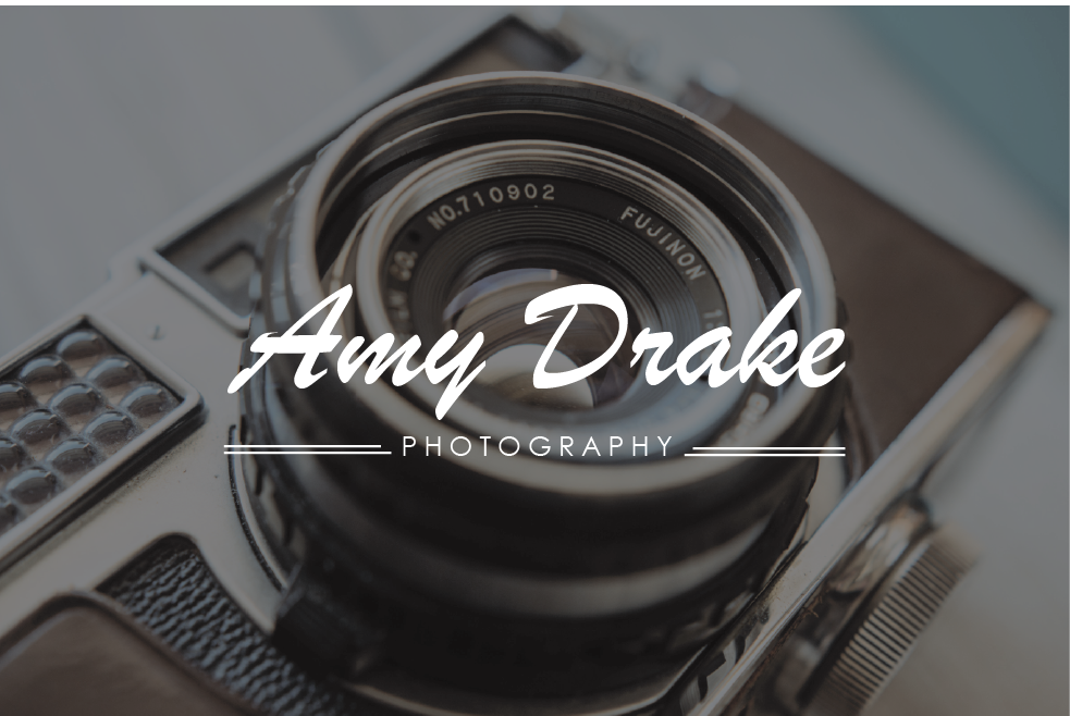 Logo Design by sgummeson for this project | Design #5470320