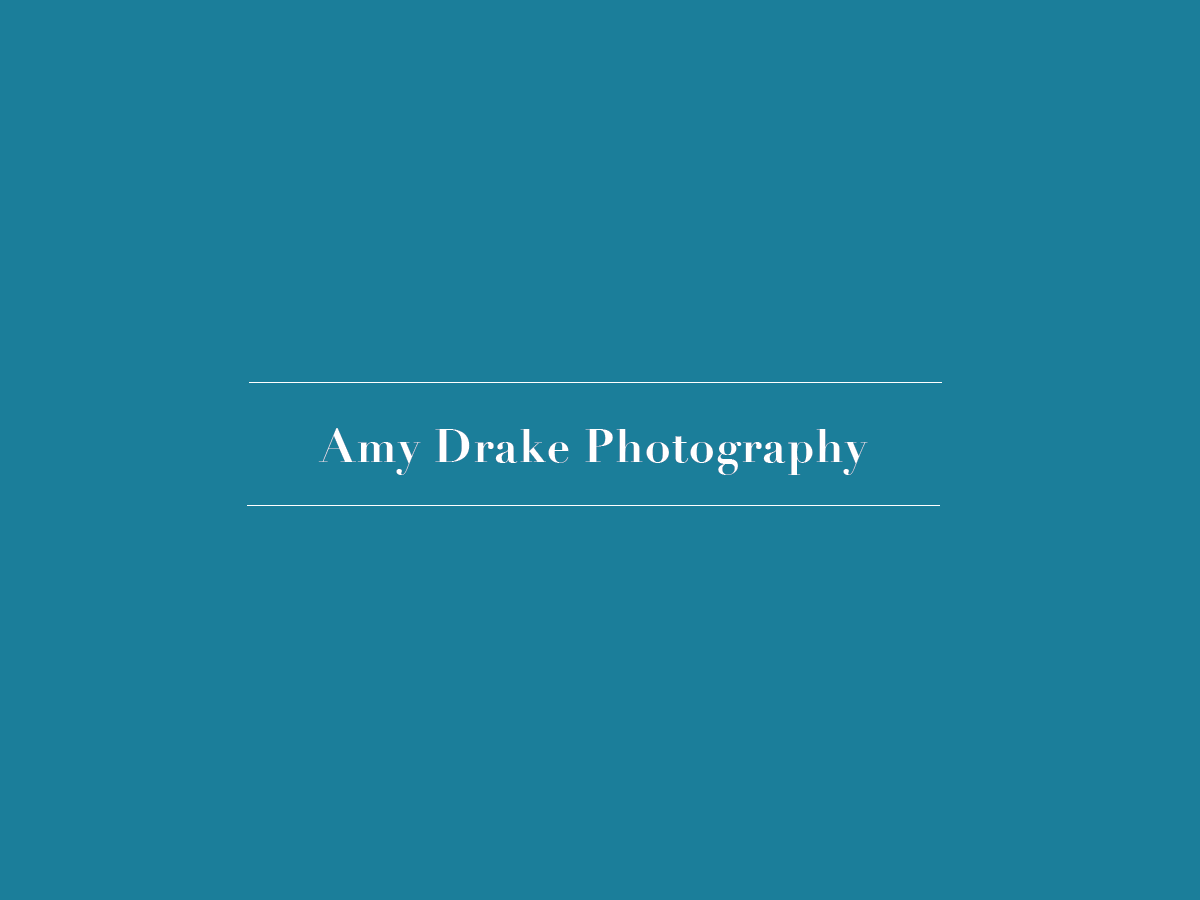 Logo-Design von AllusCreative für dieses Projekt | Design #5507358