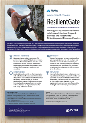 Flyer Design by Alexandar for PicNet Pty Ltd | Design #5489262