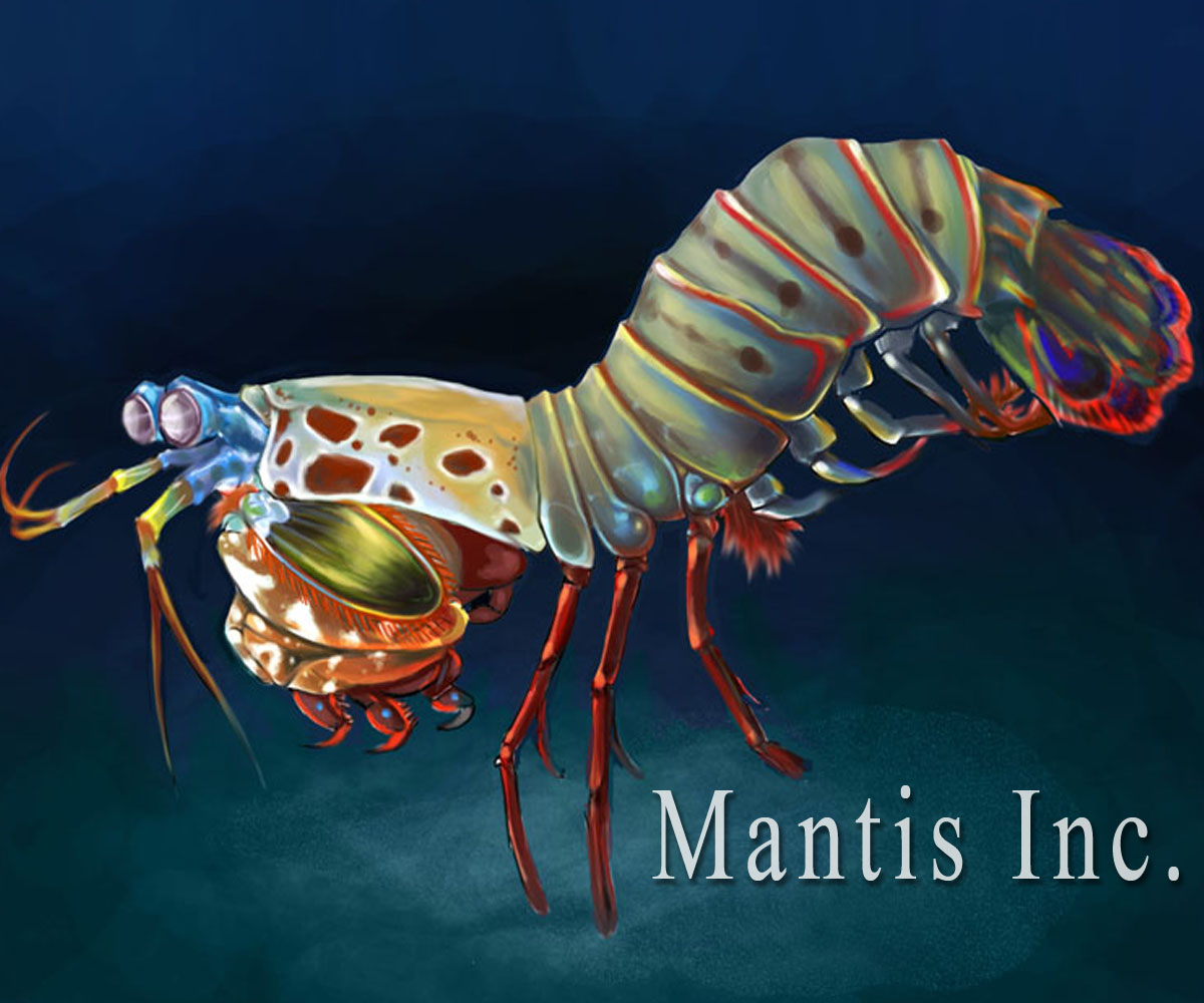 Logo-Design von Mr.Ayao für Mantis Inc. | Design #5575715