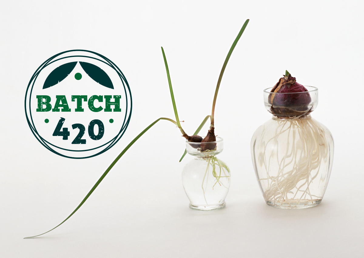 Logo Design by sorana for this project | Design #1537382