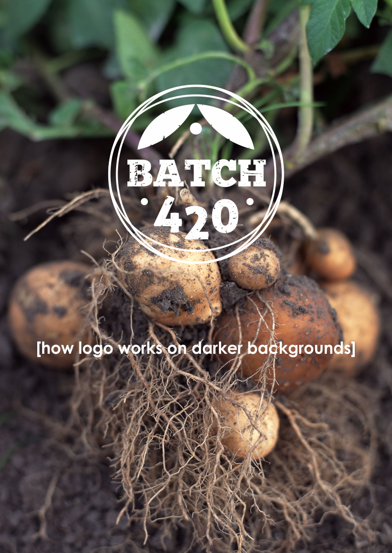 Logo Design by sorana for this project | Design #1537391