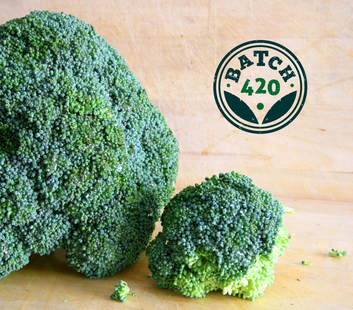 Logo Design by sorana for this project | Design #1545517