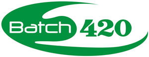 Logo Design by Ani