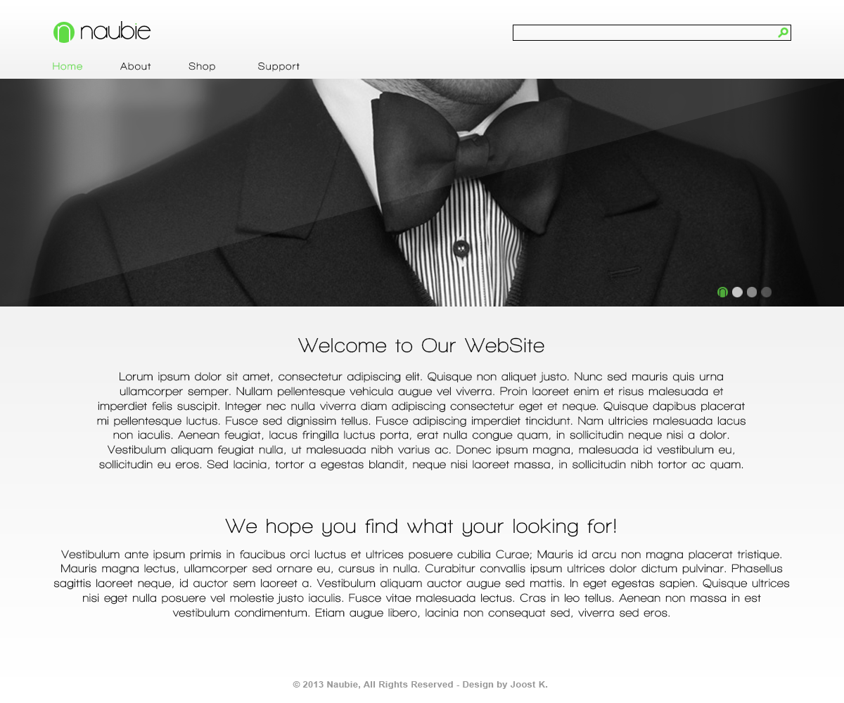Web-Design von JoostKroes für n/a | Design #1522656