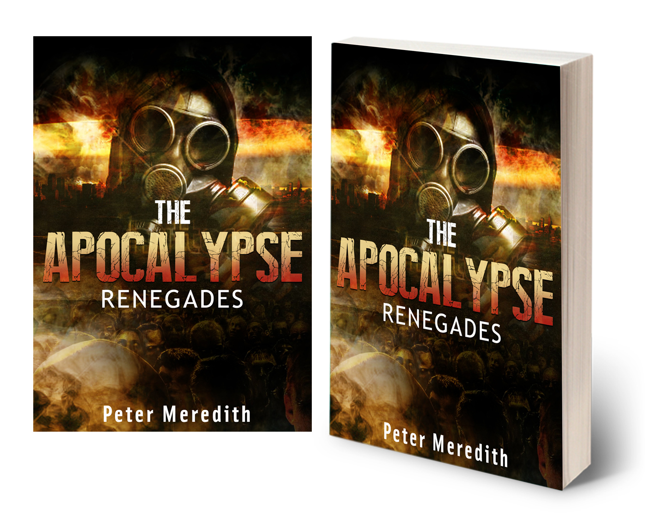 Book Cover Design by Diogo Landô for Peter Meredith | Design #5932104