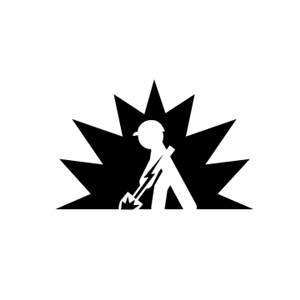Logo Design by Mission Brave