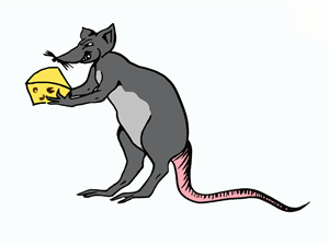 Character Design by Paula SC for this project | Design: #1579818