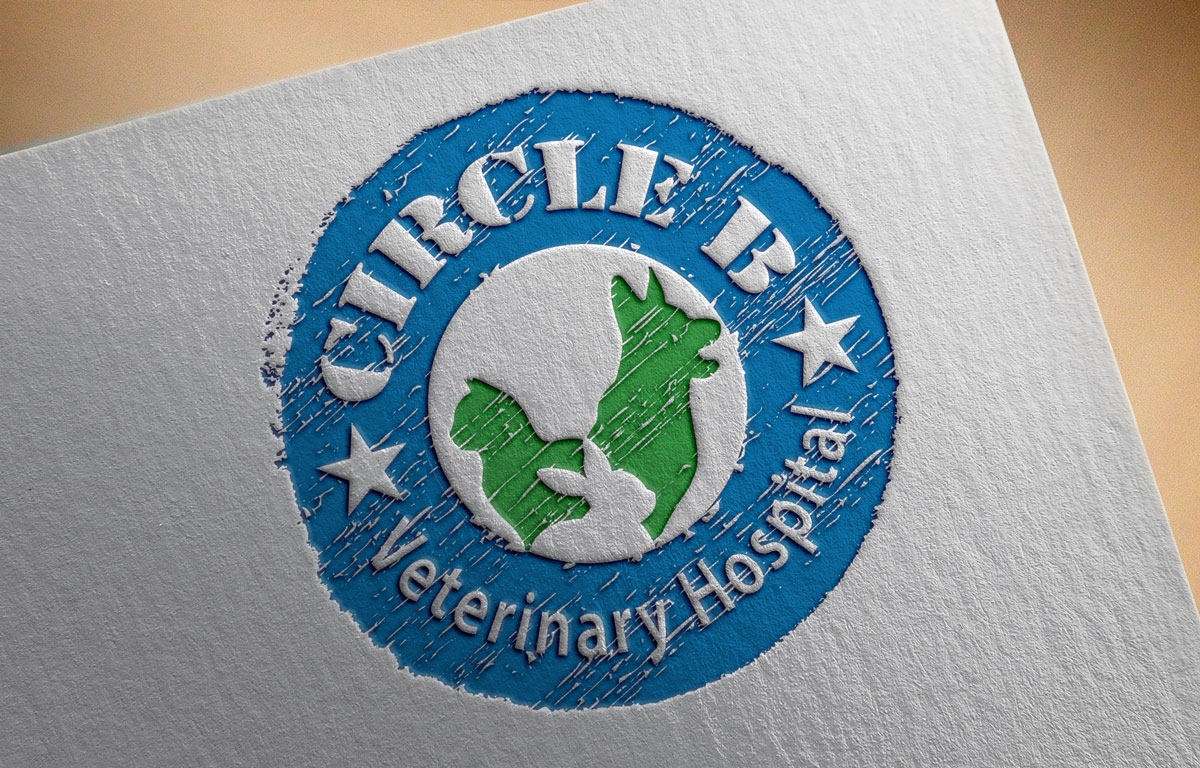 Logo-Design von Creativdiz für dieses Projekt | Design #5537194