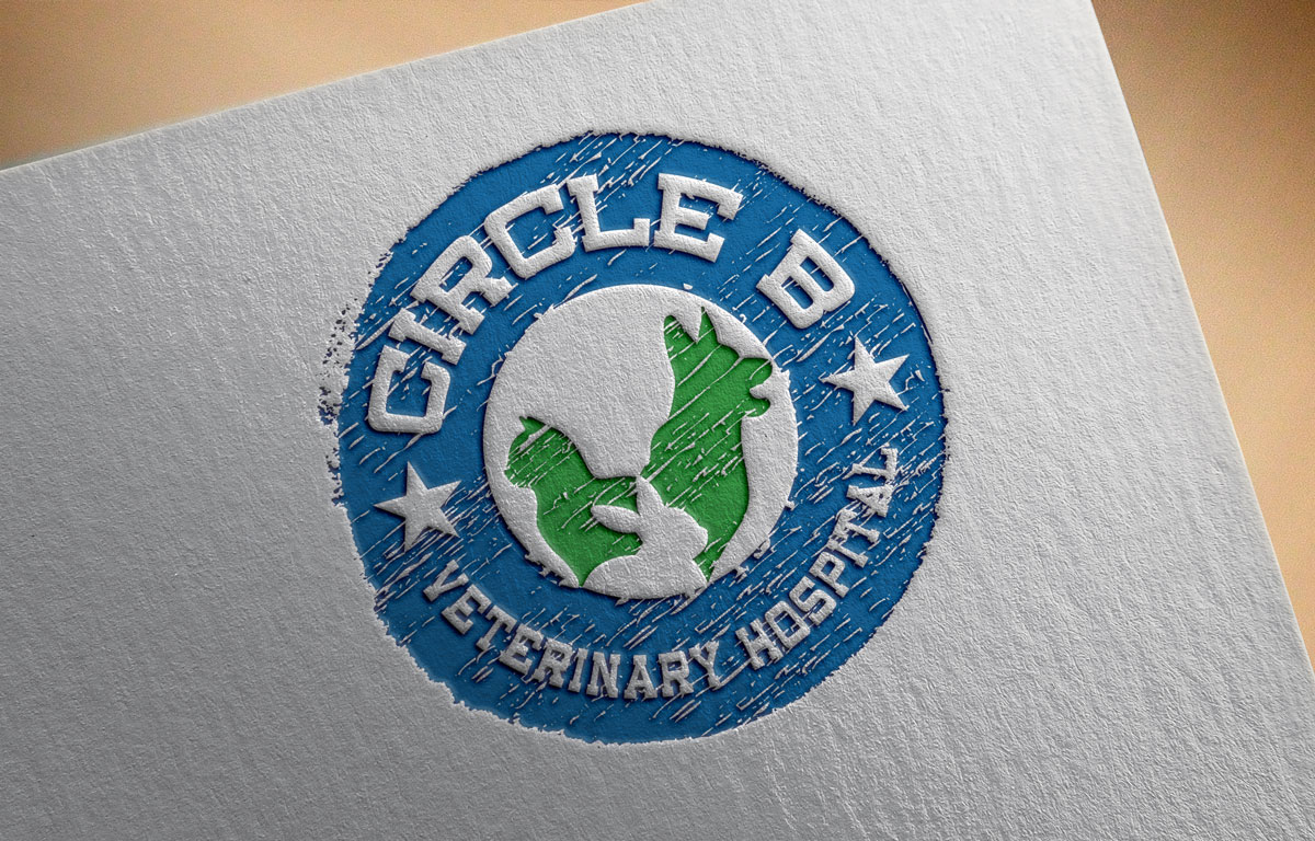 Logo Design by Creativdiz for this project | Design #5553372
