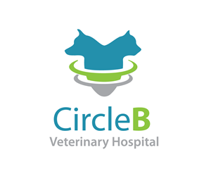 Logo Design by SANYA AN for this project | Design: #5526713