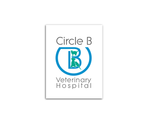Logo Design by Living Horses Graphics for this project | Design: #5571834