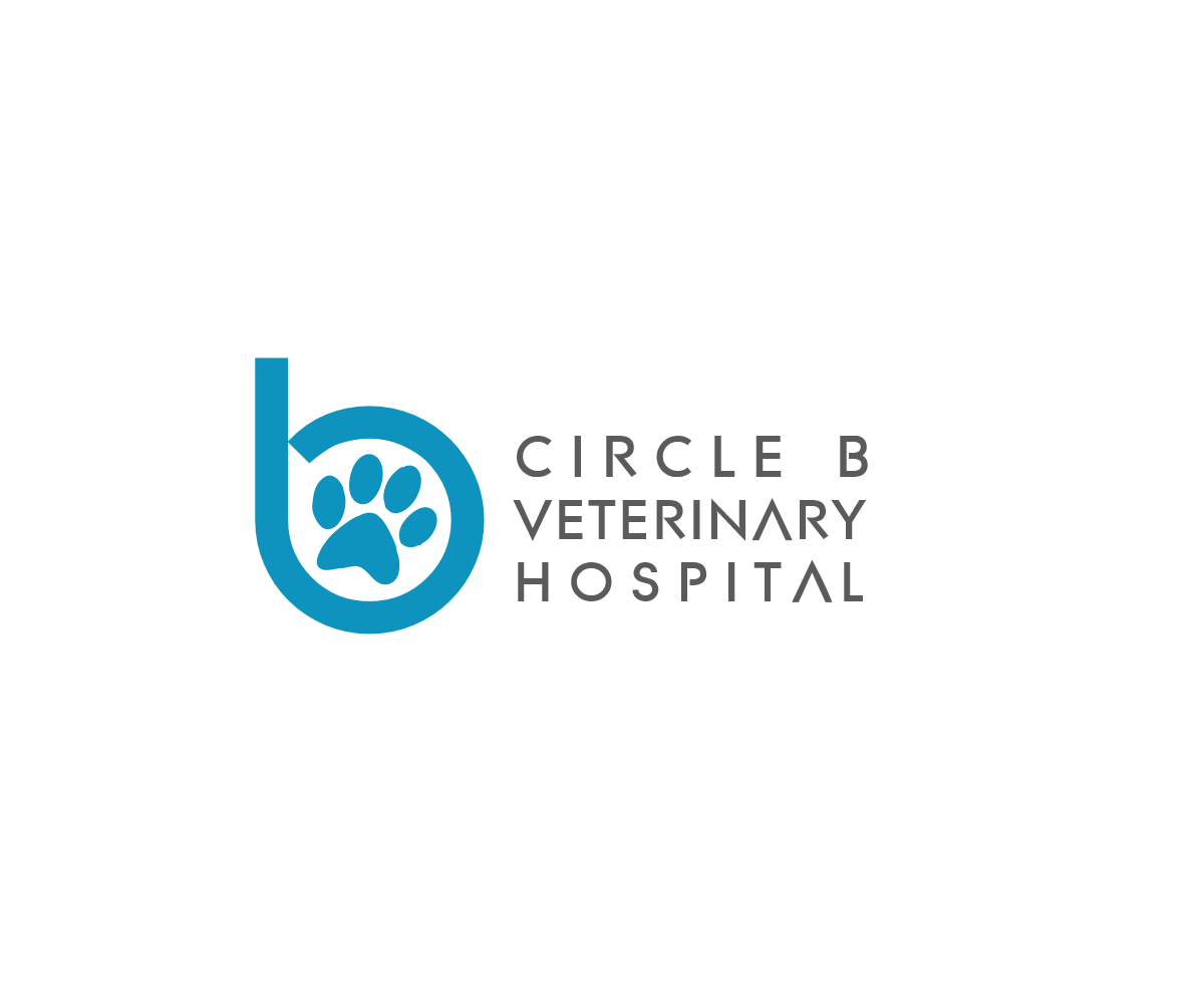 Logo Design by Living Horses Graphics for this project | Design #5637520