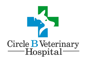 Logo Design by LOGOWORX for this project | Design: #5596166