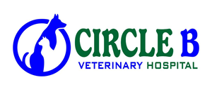 Logo Design by LOGOWORX