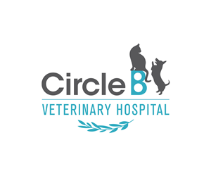 Logo-Design von Elim für dieses Projekt | Design: #5694211