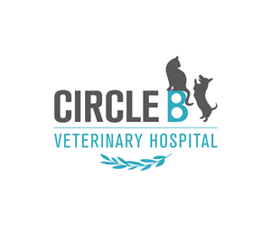 Logo-Design von Elim für dieses Projekt | Design: #5694213