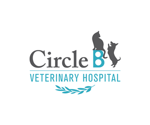 Logo-Design von Elim für dieses Projekt | Design: #5694245
