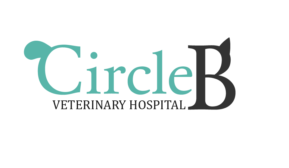 Logo Design by gabrisilva89 for this project | Design #5629714