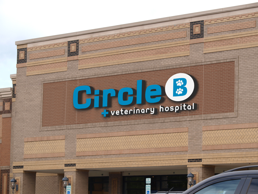 Logo Design by JTdsign for this project | Design #5644250
