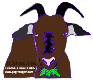 T-shirt Design by Jennifer Bowman for The Goatscaping Company, Inc. | Design: #5563513