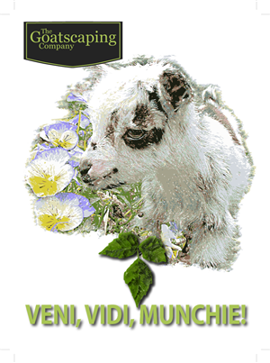 T-shirt Design by fourdog123 for The Goatscaping Company, Inc. | Design: #5585161