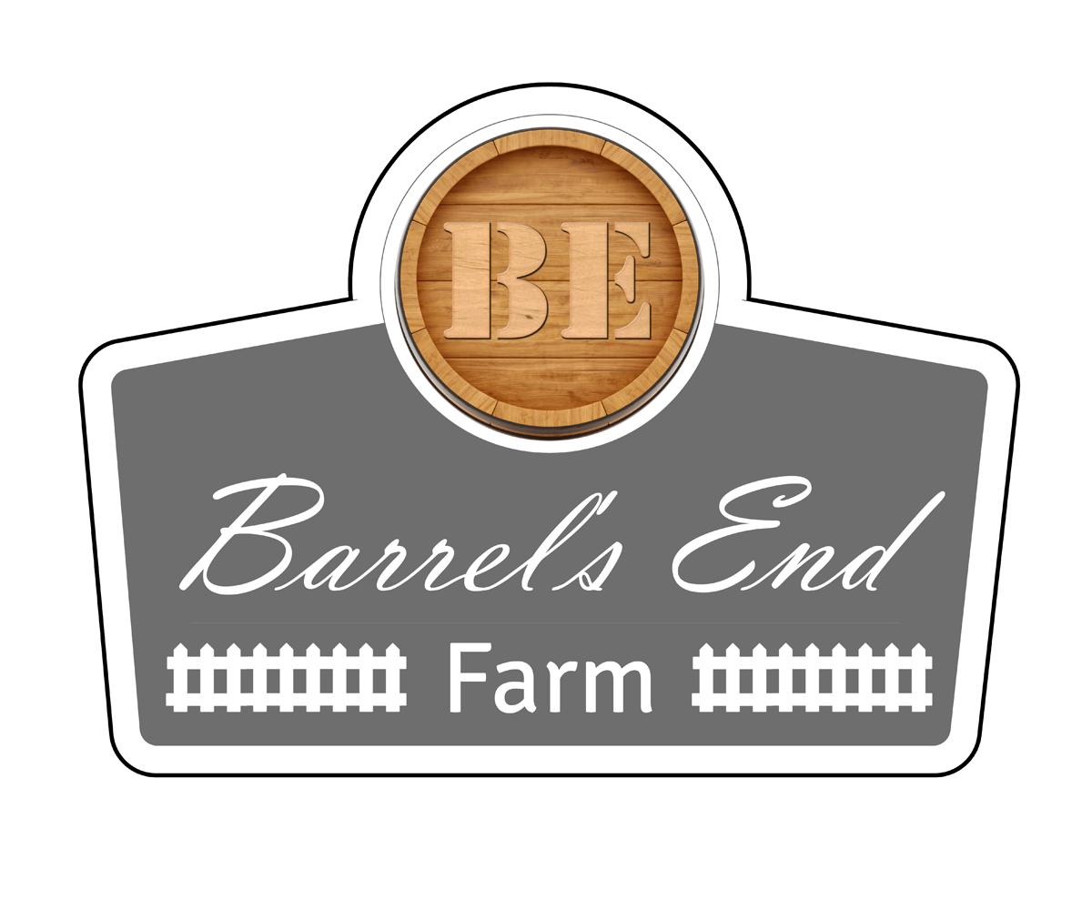 Diseño de Logo por RKDesign29 para este proyecto | Diseño #5582075