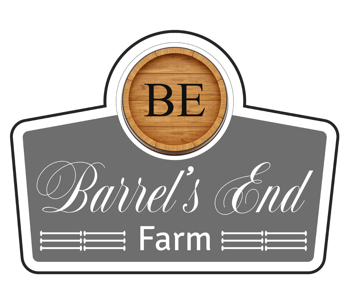 Diseño de Logo por RKDesign29 para este proyecto | Diseño #5586740