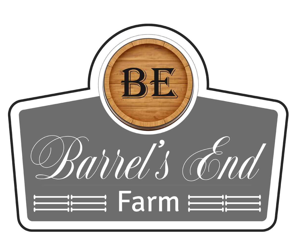 Diseño de Logo por RKDesign29 para este proyecto | Diseño #5586776