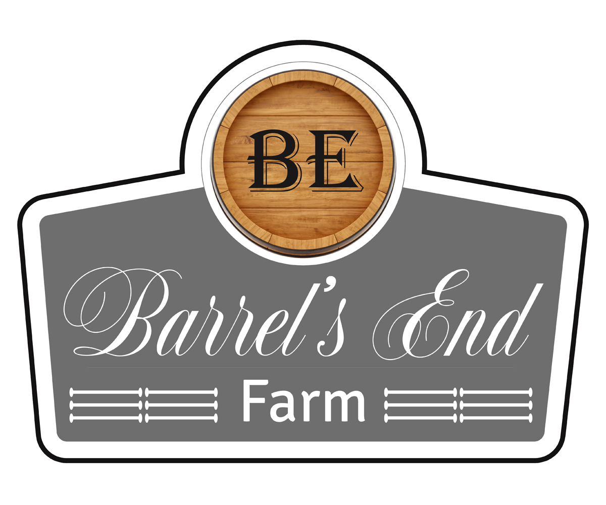 Diseño de Logo por RKDesign29 para este proyecto | Diseño #5586895